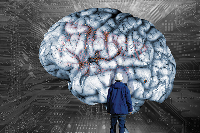 Illustration of a brain