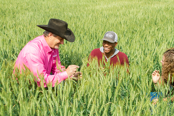 Agriculture colleges