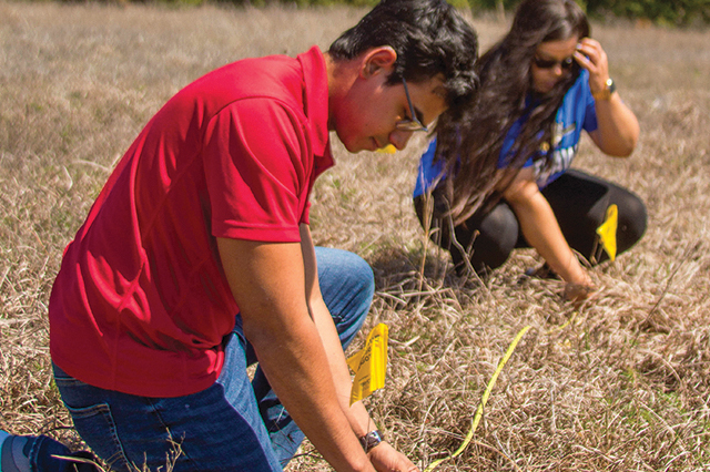 Students measuring
