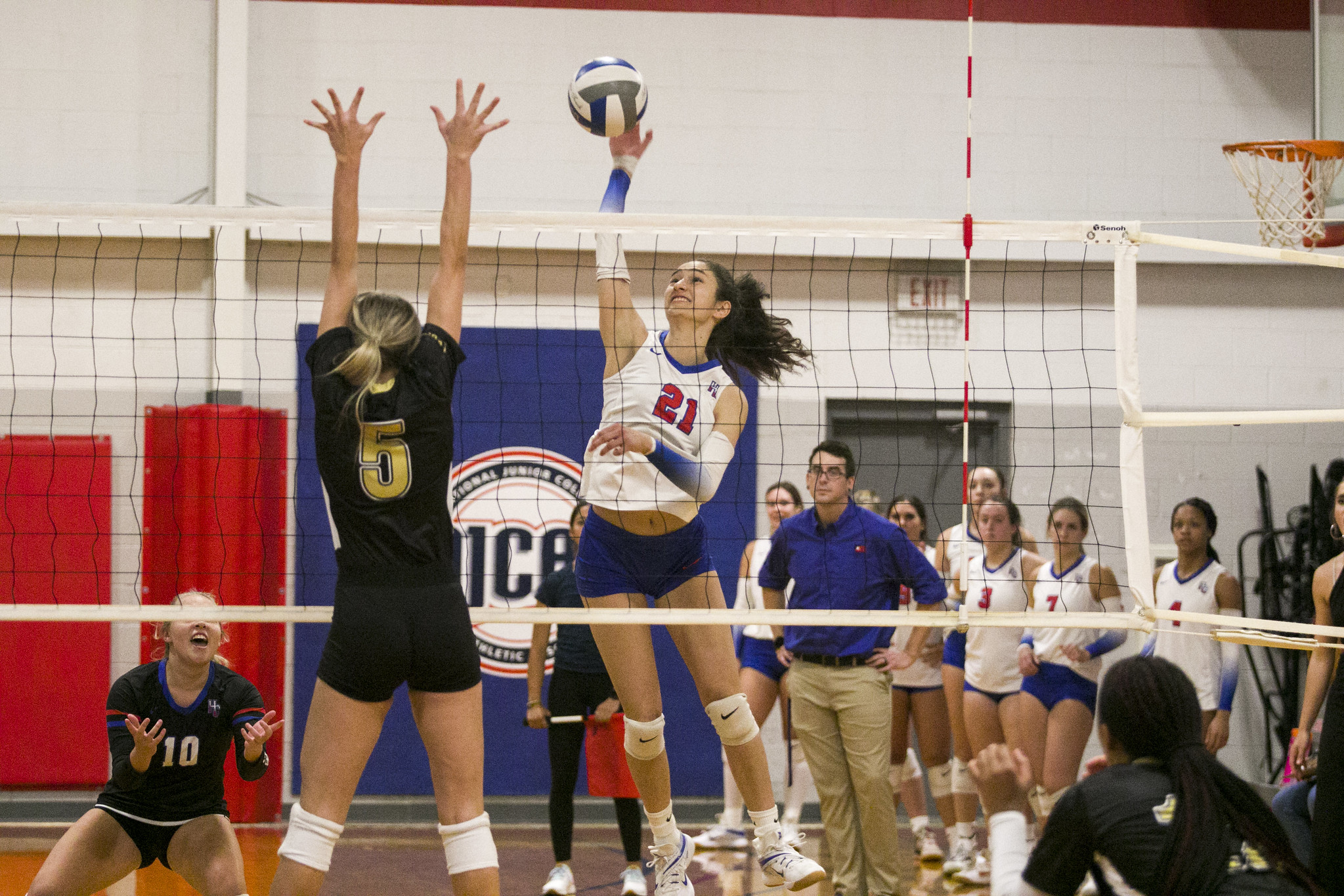 Hill College volleyball player spiking ball